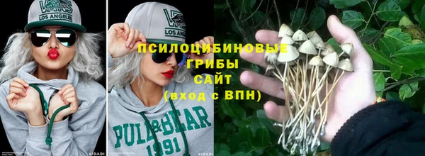 спайс Баксан