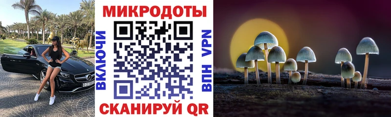 Галлюциногенные грибы Magic Shrooms  Коммунар 