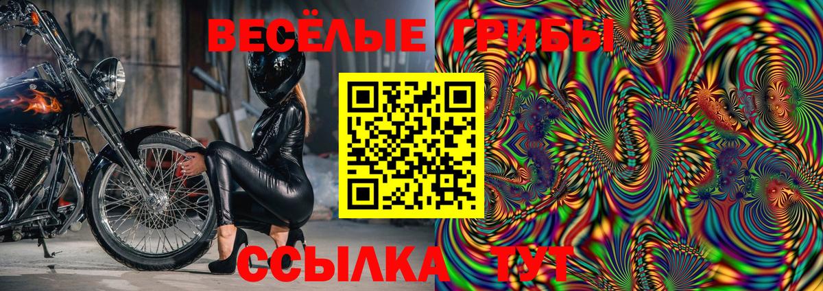 Коммунар  Галлюциногенные грибы Psilocybe  Вход с VPN  Галлюциногенные грибы Magic Shrooms 