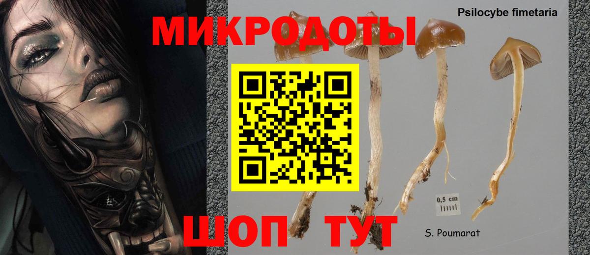 Галлюциногенные грибы мухоморы Коммунар