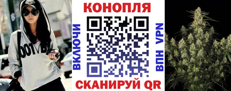 Бошки марихуана гибрид  Коммунар 