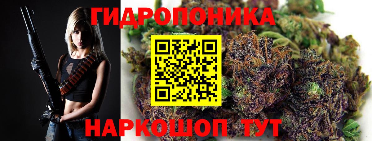 Канабис план Коммунар